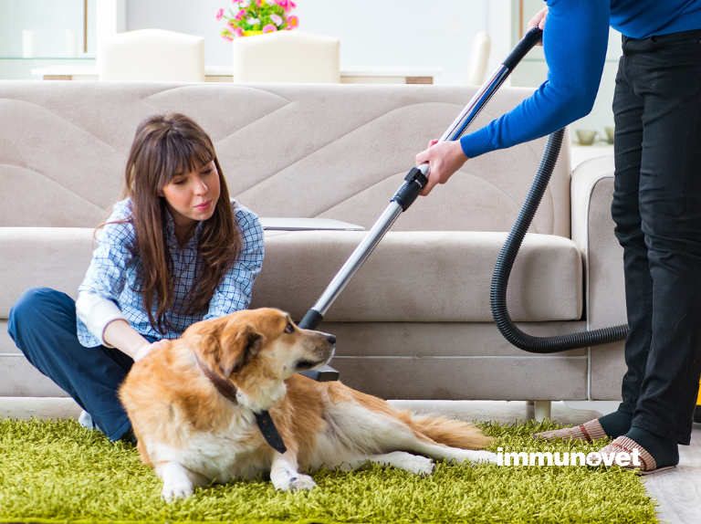 Kutyusod új bundája