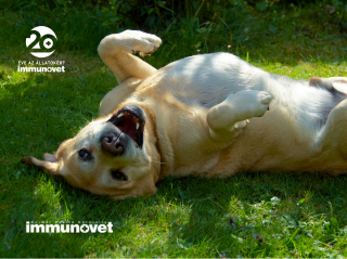 A te kutyád boldog?