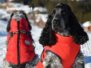 Készüljünk fel a téli hidegre!