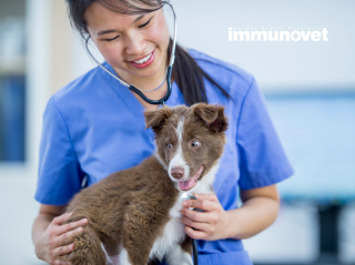 Felkészülés a műtétre és a lábadozásra