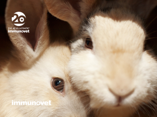 Hogyan tartsunk nyuszit?