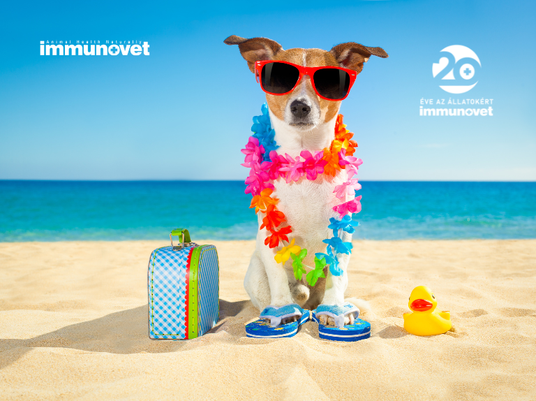 Nyaraljunk a kutyánkkal! Vagy kire bízhatjuk a kutyusunkat, ha nyaralni megyünk?