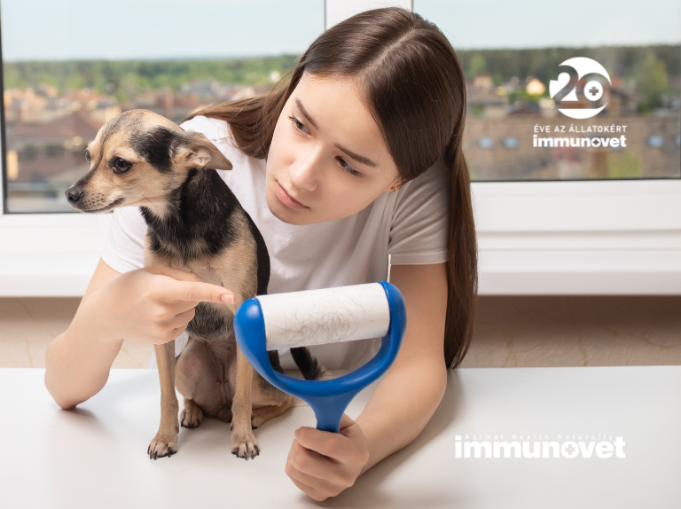 Spring is here, hair is falling