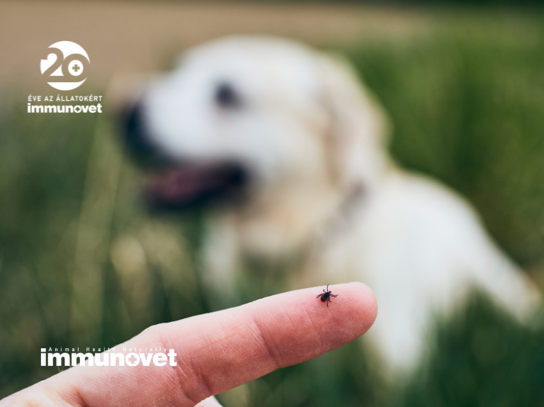 Mivel védekezhetünk a paraziták ellen?